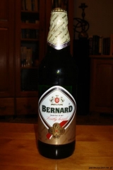 Bernard Světly Ležák