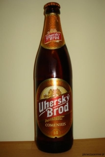 Uherský Brod Comenius